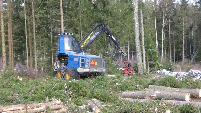 Väckelsångs Skogsmaskiner AB Trädfällning, trädvård, Tingsryd - 3