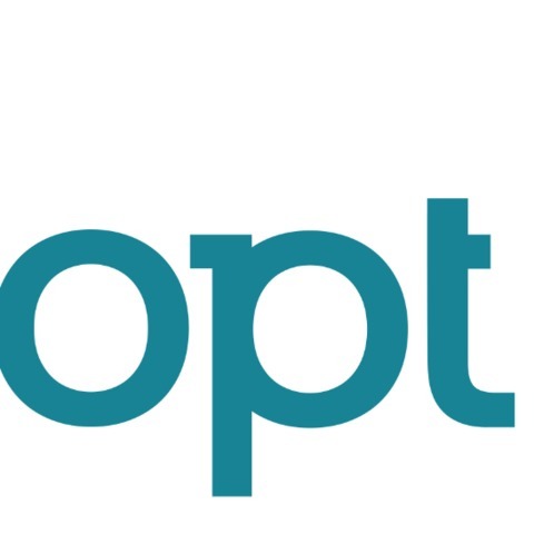 OPT Bilpleiesenter logo