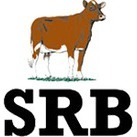 SRB-Föreningen
