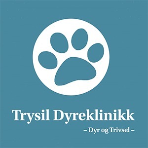 Trysil Dyreklinikk AS