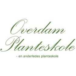 Overdam Planteskole