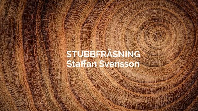 Stubbfräsning Staffan Svensson Trädgårdsanläggare, Landskrona - 1