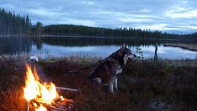 Järvsö Jakt & Fritid AB Fiskeredskap, Ljusdal - 2