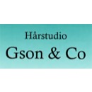 G:son & Co logo