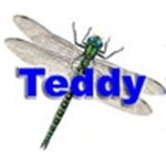 Guldsmed Teddy logo