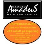Studio Amadeus Hair & Beauty logo