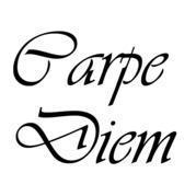 Carpe Diem Blomster logo