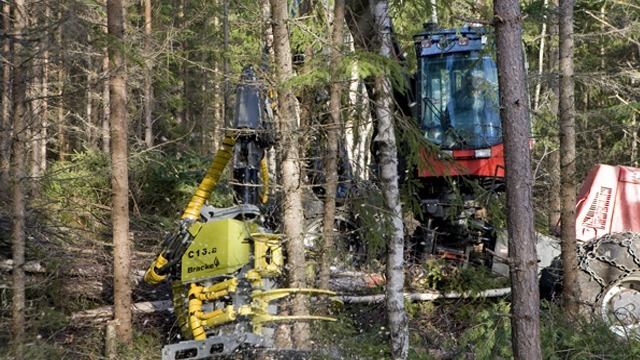 Skogs Kalle AB Trädfällning, trädvård, Alvesta - 2