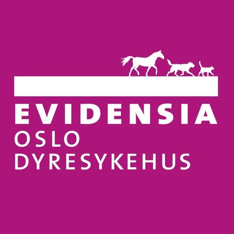 Evidensia Oslo Dyresykehus logo