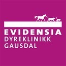 Evidensia Dyreklinikk Gausdal logo