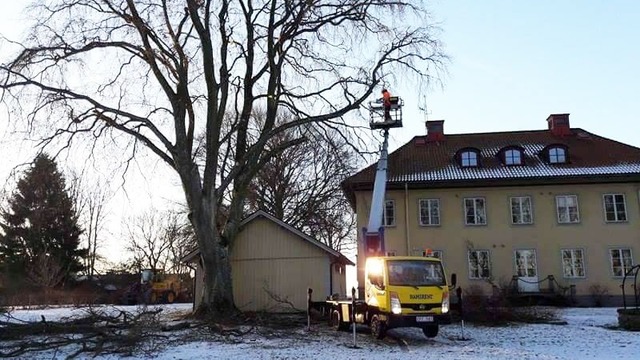 Larssons Skogs & Lantbrukstjänst AB Skogstjänster, Vadstena - 5