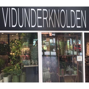 Vidunder Knolden