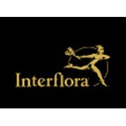 Amaryllis Interflora logo