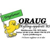 Oraug Kylling-Oppdrett AS logo