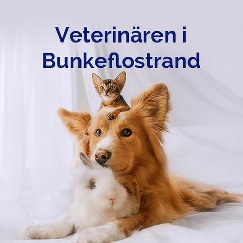 Veterinären i Bunkeflostrand / TS Vet AB logo