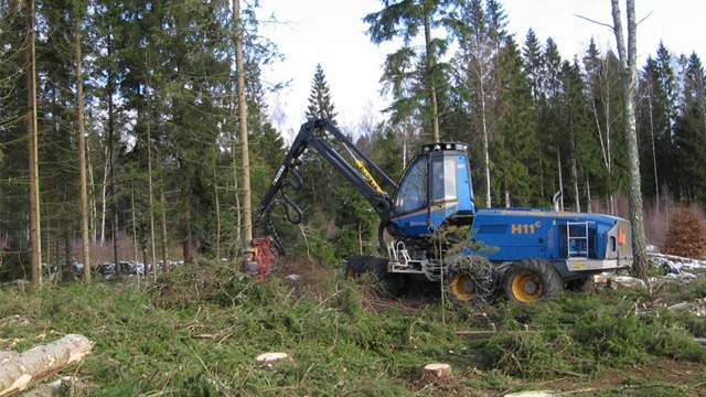 Väckelsångs Skogsmaskiner AB Trädfällning, trädvård, Tingsryd - 9