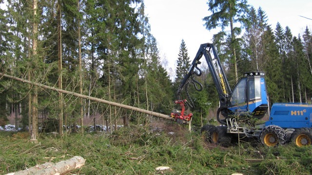 Väckelsångs Skogsmaskiner AB Trädfällning, trädvård, Tingsryd - 7