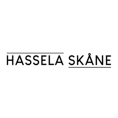 Hassela Skåne AB (Mentorskap)