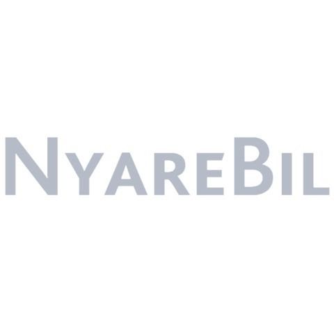 NyareBil i Sverige AB logo