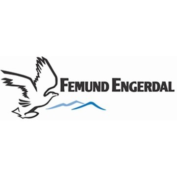 Destinasjon Femund Engerdal AS logo