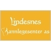 Lindesnes Tannlegesenter AS logo