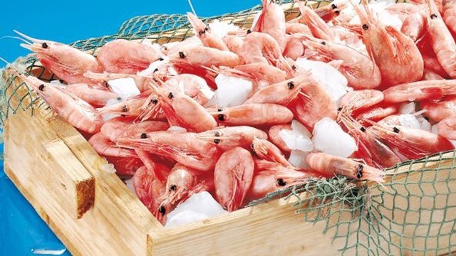 Polar Seafood Foodservice A/S Fisk - Engros, Esbjerg - 2